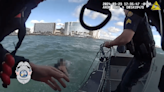 WATCH: Clearwater police rescue woman struggling in Gulf of Mexico