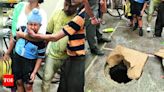 Seven-year-old boy falls into manhole covered with cardboard | Delhi News - Times of India