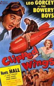 Clipped Wings (1953 film)