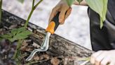 This Wrist-Saving Weeder Gets The ‘Entire’ Dandelion Root—And The Amazon Best-Seller Is On Sale For $9