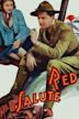 Red Salute (1935 film)