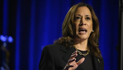 Kamala Harris is closing in on the perfect economic message—but the left’s price-gouging exaggerations could undermine it