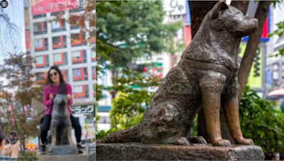 ‘Humans have lost humanity’: Female tourist poses atop Tokyo’s Hachiko statue; netizens outraged