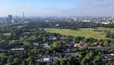 London park named city's best where 'wildlife is blooming'