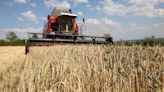 EU Commission begins meetings with Ukraine on agrarian legislation screening