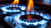 Por qué se produjo la crisis del gas y cuál es la fecha que mira con preocupación el sector energético