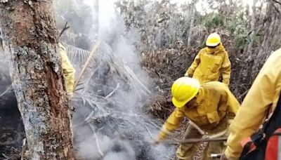 El 90 % de los incendios forestales en San Martín fueron causados por la acción humana