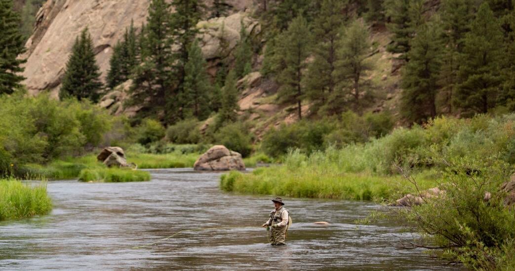 Trout, bass, catfish and more: A guide to Colorado's fish and where to find them