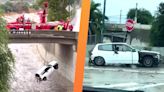 LAFD Fishes Honda Civic Hatch Out of Flooded LA River