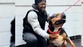 Dog Who'd Been Lost For Weeks Loses His Mind When He’s Reunited With His Dad