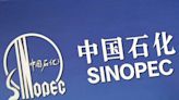 La china Sinopec acuerda las condiciones de una posible inversión en polietileno en Kazajistán