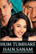 Hum Tumhare Hain Sanam