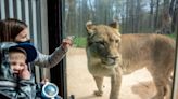 Binder Park Zoo opens for its 46th season Monday. Here's what you need to know.