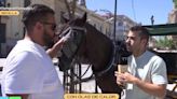 Piden cambiar los coches de caballos de Sevilla por eléctricos: “Lo que tienen que hacer es darnos soluciones”