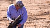 Jackson introduces bill to help cattle ranchers recover from worst wildfire in TX history