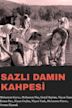 Sazli damin kahpesi