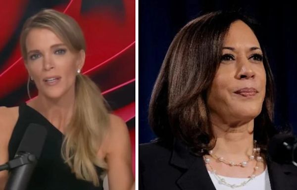 Megyn Kelly Mocks Kamala Harris Telling Young Leaders to ‘Kick That F–king Door Down’ | Video