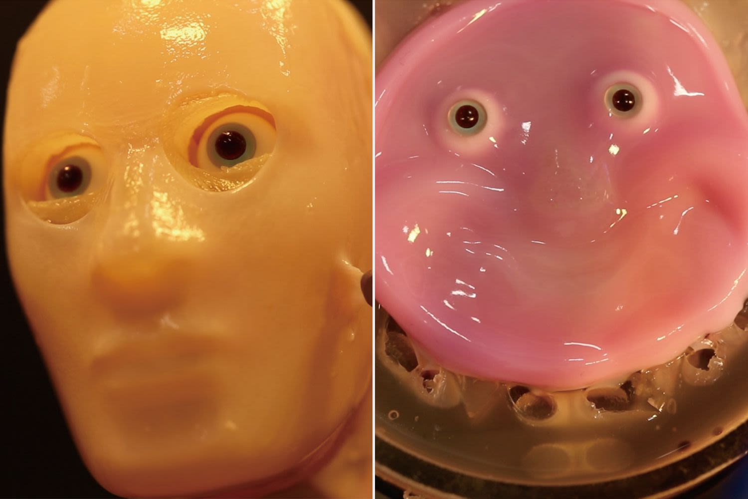 Japanese Scientists Create Smiling Robot with 'Living' Skin Using Collagen
