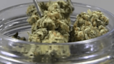 Medical marijuana dispensary opens on 4/20 with NC bill still pending