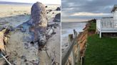 Holiday park evacuated after sudden collapse of coastal road reveals 'unexploded bomb'