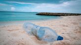 Pathogens Able to Travel on Floating Plastic Waste, Study Finds