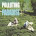 Polluting Paradise