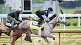 Mandy Pope is not afraid to spend big money. Is she about to win the Kentucky Derby?