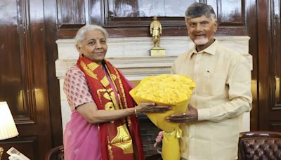 Naidu urges FM Sitharaman for financial rescue of debt-ridden Andhra Pradesh