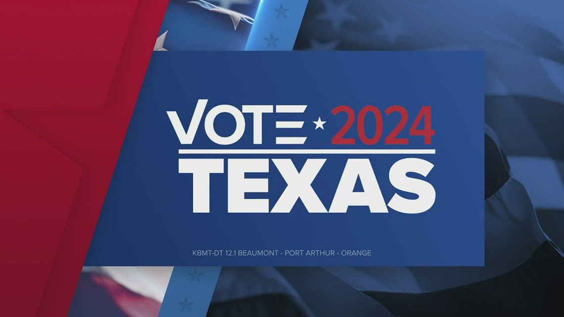 Vote Texas 2024 | Political expert weighs in on State House District 21 race