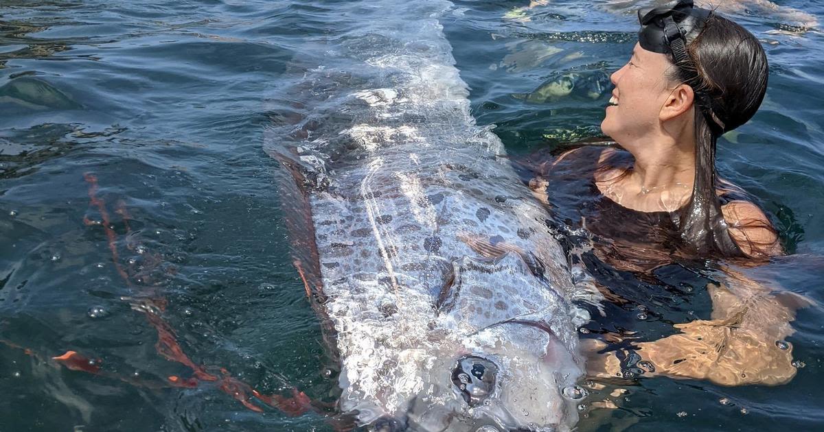 Extremely rare "doomsday fish" found off California coast