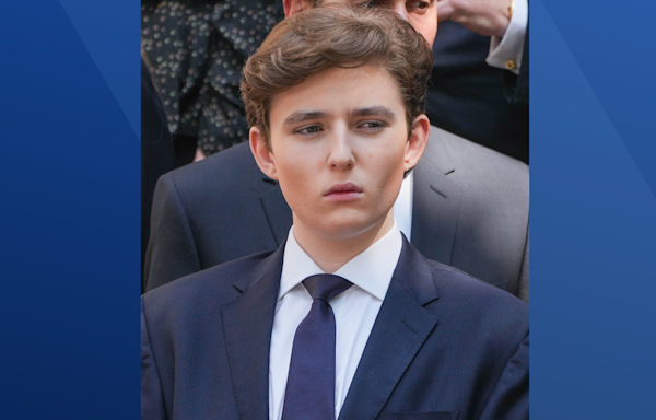 18-year-old Barron Trump to make political debut as Florida delegate to the Republican convention