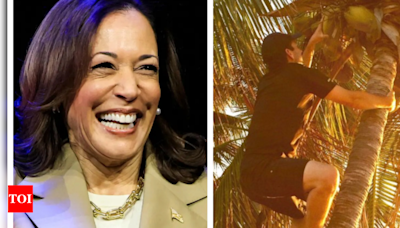 What’s the buzz about Kamala Harris' 'coconut tree' meme? - Times of India