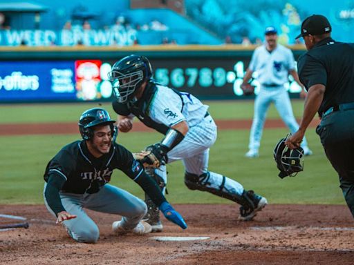 Professional baseball: Harris enjoys first full season in White Sox organization