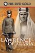 Lawrence of Arabia: The Battle for the Arab World