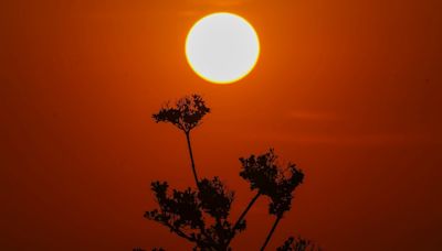 Qué es lo que causa las temperaturas sofocantes en México, Centroamérica y sur de EEUU