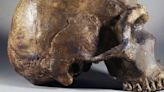 Scientists want to recreate ancient herpes virus found in Neanderthal DNA