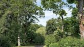 Parks and green spaces in Newcastle city centre to become wildflower havens during 'No Mow May'