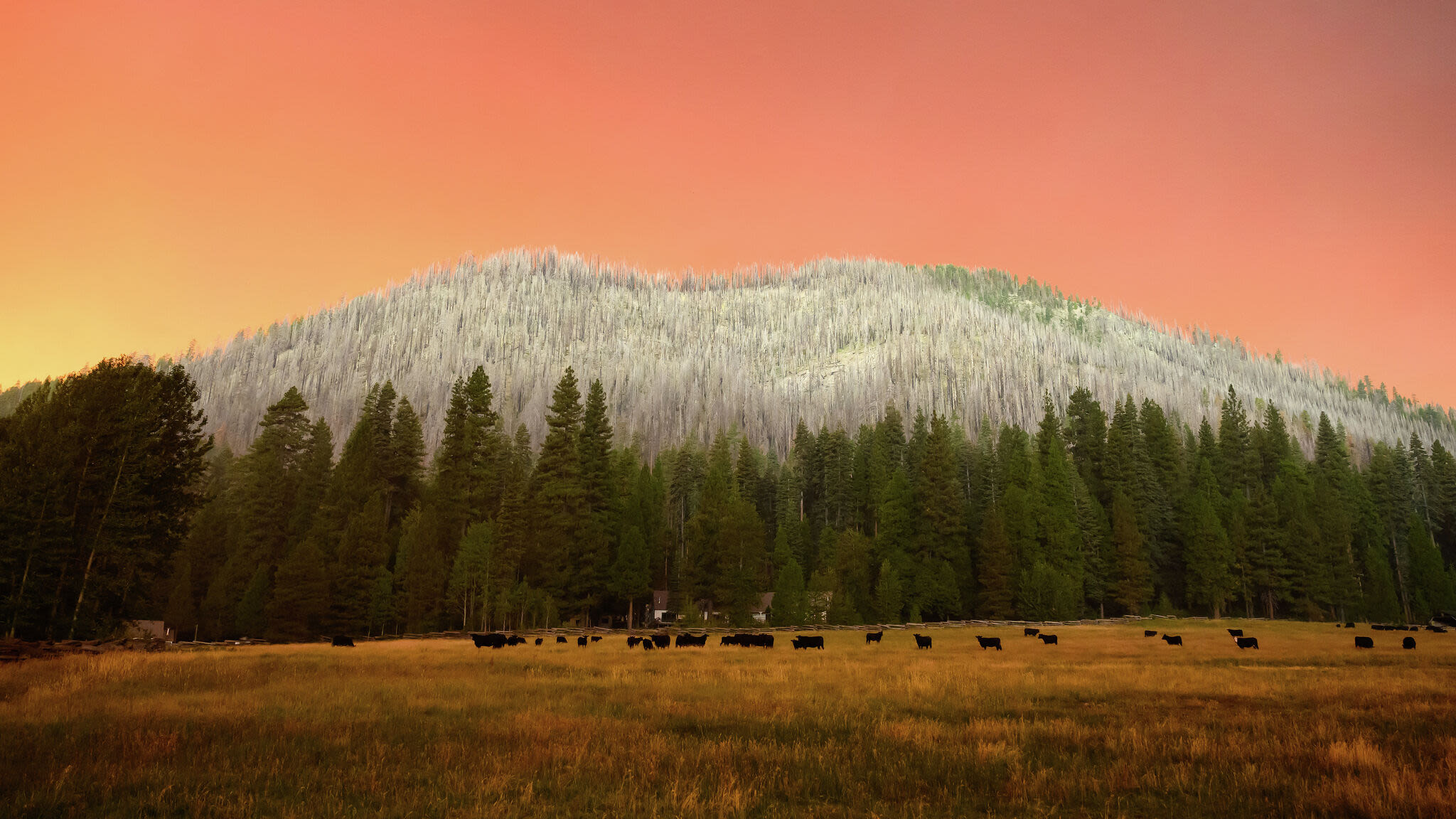 Lassen closes as Park Fire nears, rangers scramble to save history