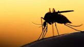 Uttarakhand Health Department issues guidelines to prevent dengue and chikungunya - ET HealthWorld