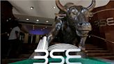 Investec bullish on BSE but flags potentially severe regulatory risk; check target price