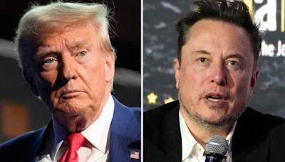 Trump: I’ll hire Elon Musk to make ‘drastic’ changes as US efficiency tsar