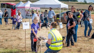 Ham Hill's dog show returns to celebrate a decade of doggy delight