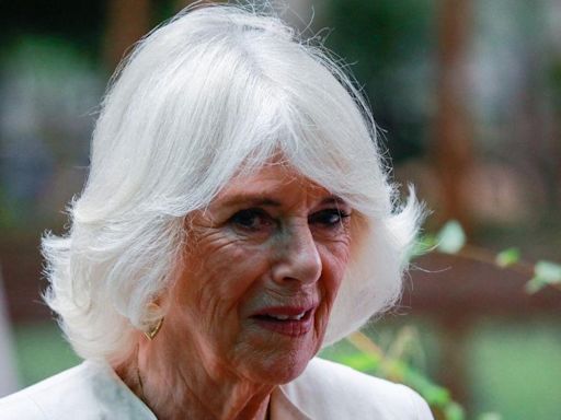 Queen Camilla's Son Shuts Down 'Inaccurate' Rumor That She's a Heavy Drinker and Smoker