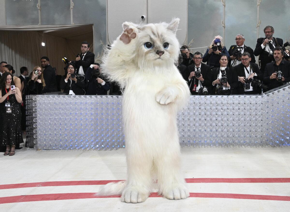 Met Gala Madness: A Timeline of Fashion's Most Controversial Moments