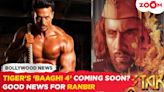 Is 'Baaghi 4' Coming Soon? | Positive Updates for Ranbir Kapoor & Imtiaz Ali