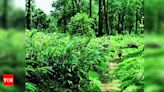 Kerala: Plantation corp surrenders 257 acres | Thiruvananthapuram News - Times of India