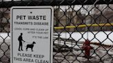 Perils of pet poop – so much more than just unsightly and smelly, it can spread disease