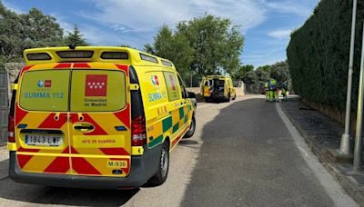 Hospitalizado grave un hombre de 60 años tras sufrir la mordedura de una víbora en su casa en Valdemorillo, Madrid