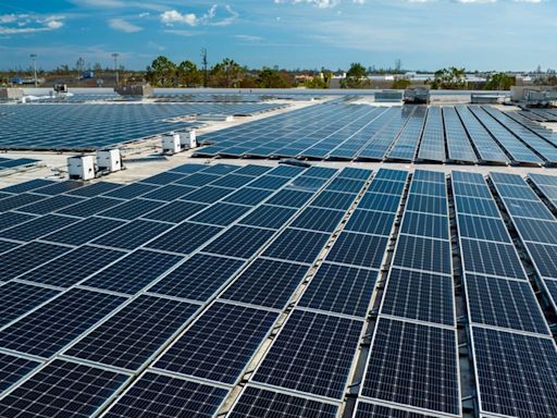 Singapore’s SC Oscar acquires New Zealand solar developer; seeks more deals | FinanceAsia