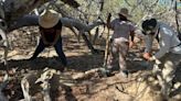 Suman 14 fosas clandestinas con 18 cuerpos en Baja California Sur, anuncia colectivo de búsqueda